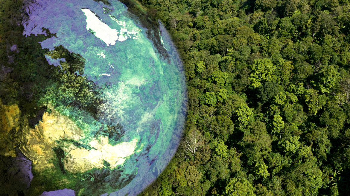 Atmospheric aerial view of a green forest with planet Earth
